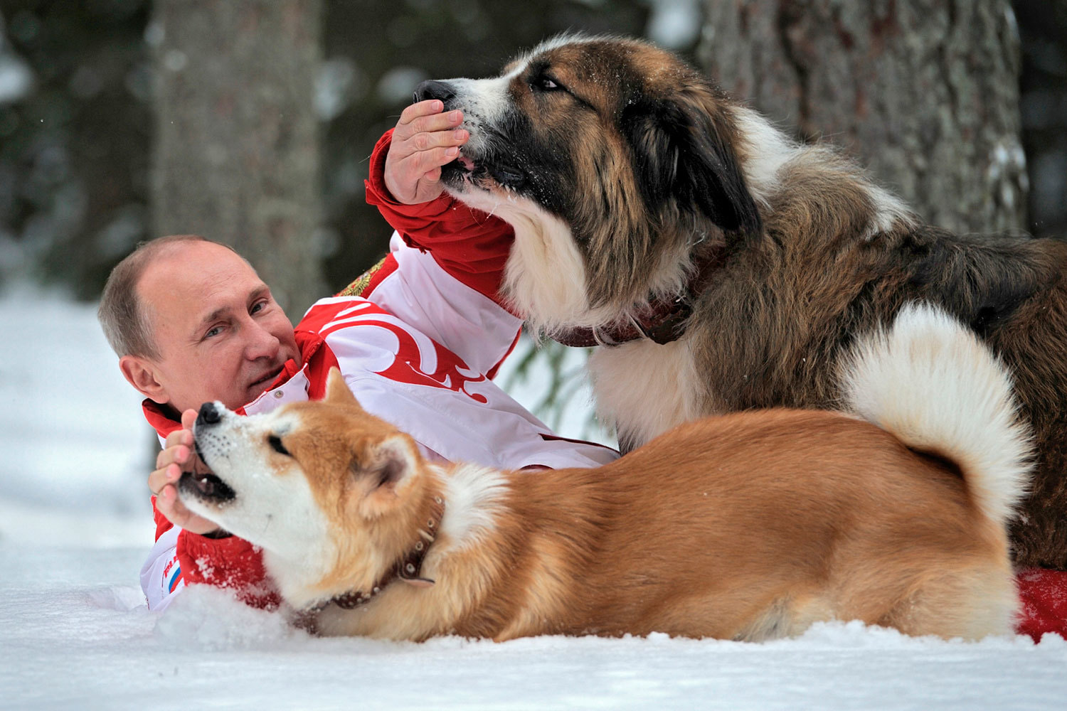 голая секс собакой 