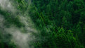 Unsplash