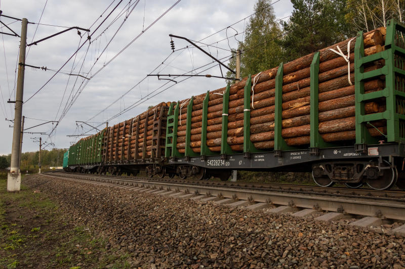 Только в сторону Финляндии ОЖД за весь 2021 г. отгружала ежесуточно порядка 4200 т лесной продукции