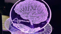 В чипе от Neuralink 1024 контакта, что позволяет получать массу информации из мозга