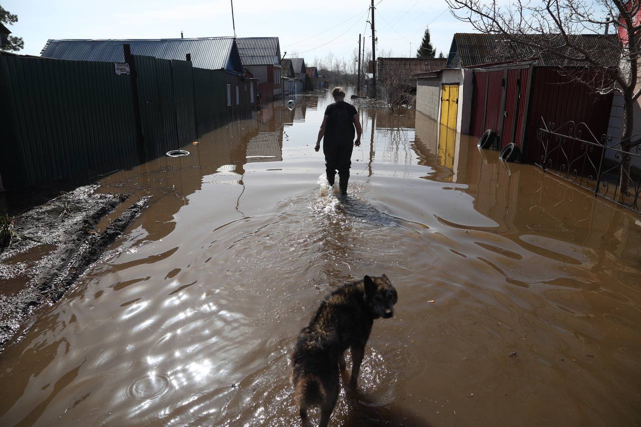 Вода приблизилась к многоквартирным домам в Оренбурге - Ведомости