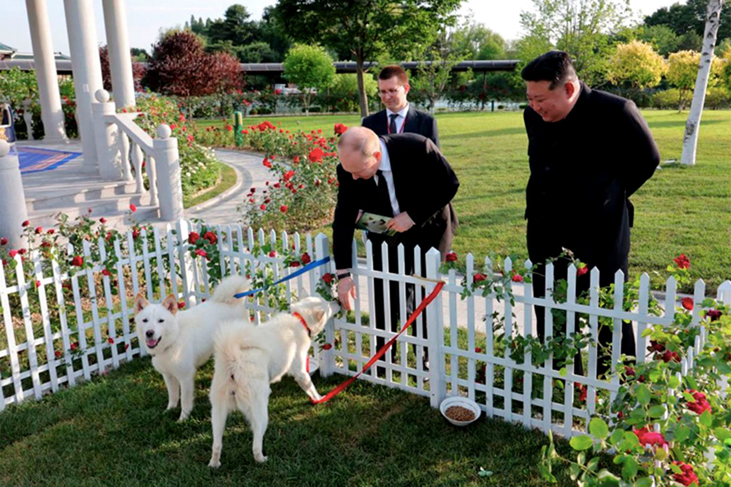Во время государственного визита президента России Владимира Путина в Северную Корею, который проходил 18-19 июня 2024 г., лидер КНДР Ким Чен Ын подарил ему двух охотничьих собак редкой породы пхунсан.Каких еще питомцев дарили Путину – в галерее «Ведомостей»