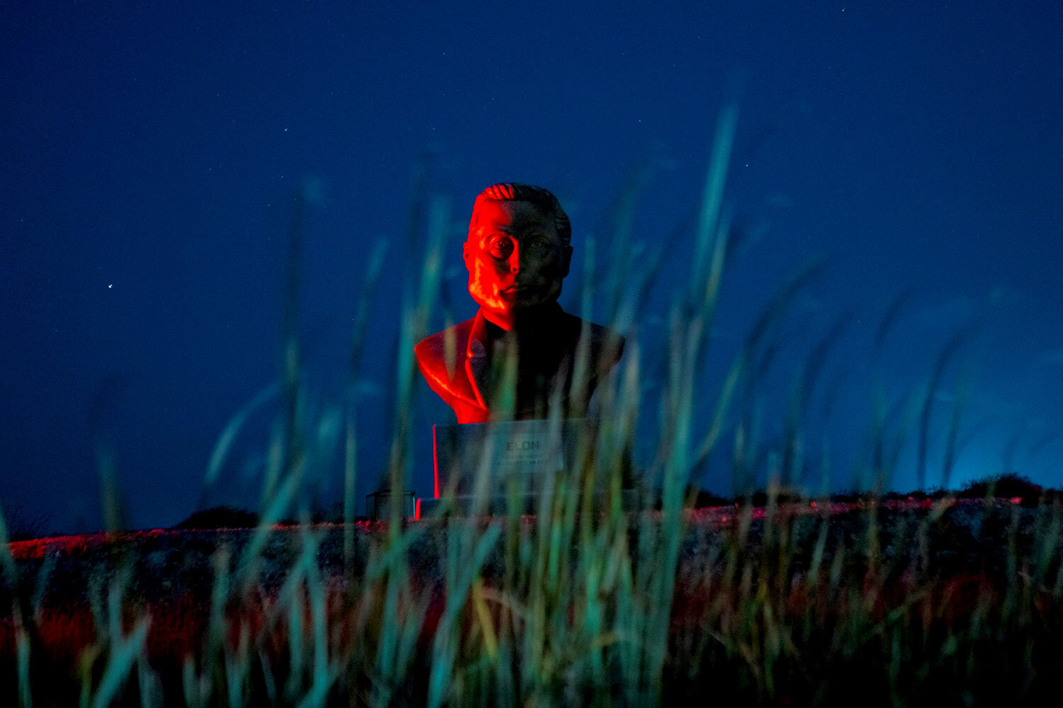 7 февраля 2025 г. Бюст Илона Маска стоит на обочине дороги в Браунсвилле, штат Техас, США. 