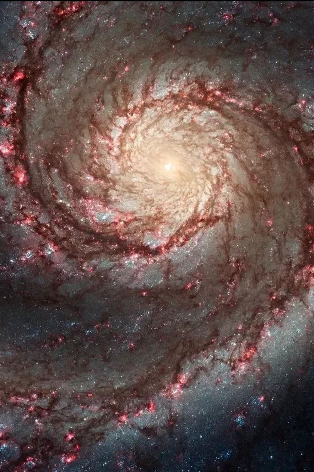В 2022 г. представители NASA продемонстрировали изображение галактики Водоворот, расположенной на расстоянии 31 млн световых лет от нашей планеты. Астрономы утверждают, что при благоприятных погодных условиях объект можно рассмотреть даже в обычный бинокль.