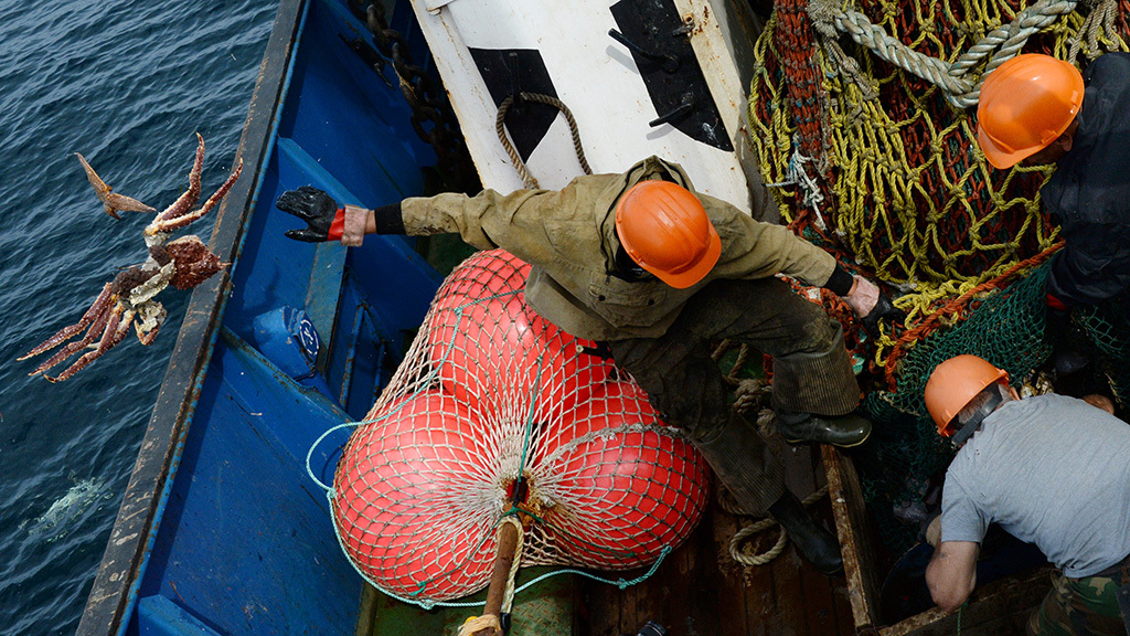 Виталий Аньков / РИА Новости