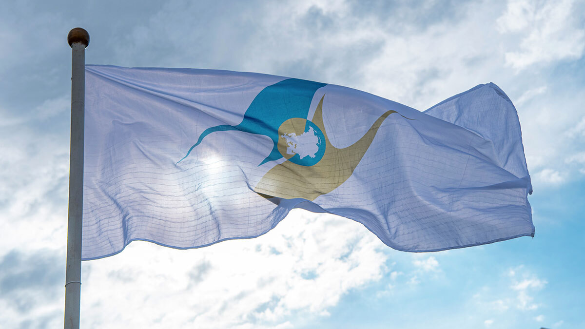 Владислав Воднев / РИА Новости