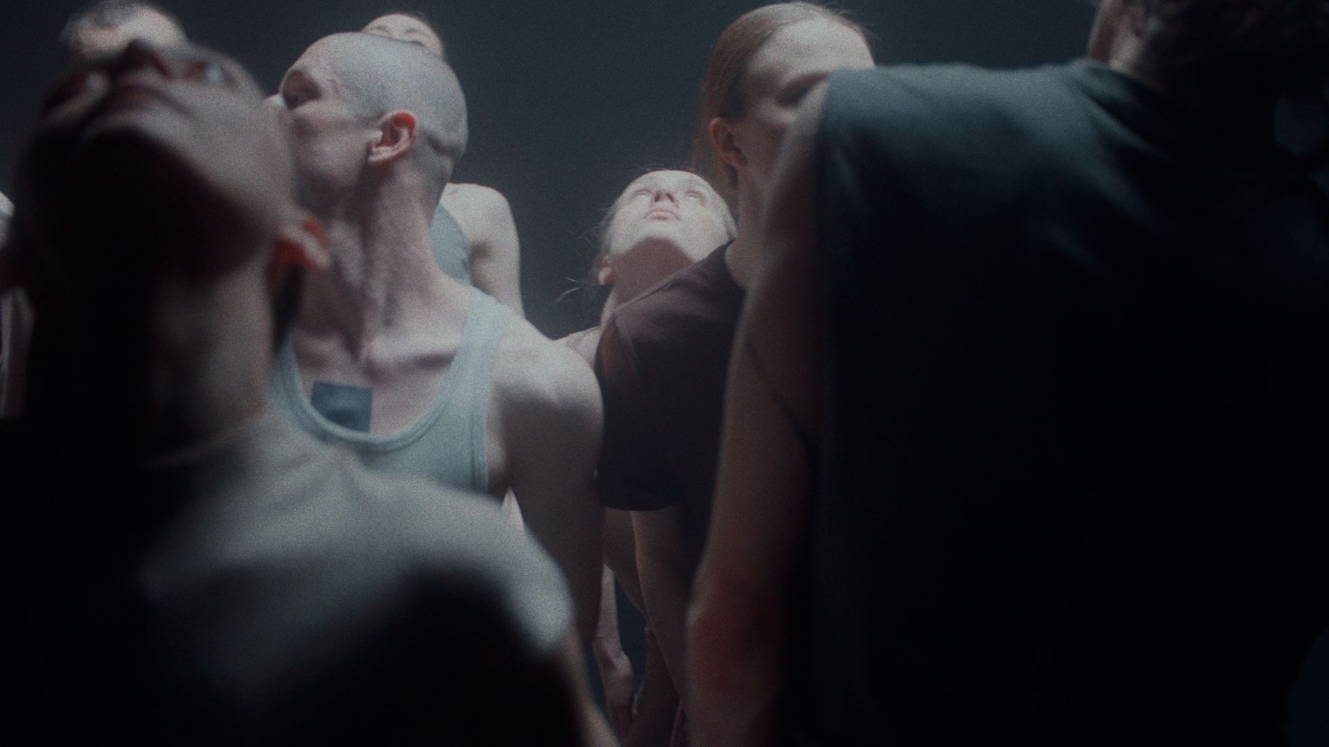 musicAeterna Dance