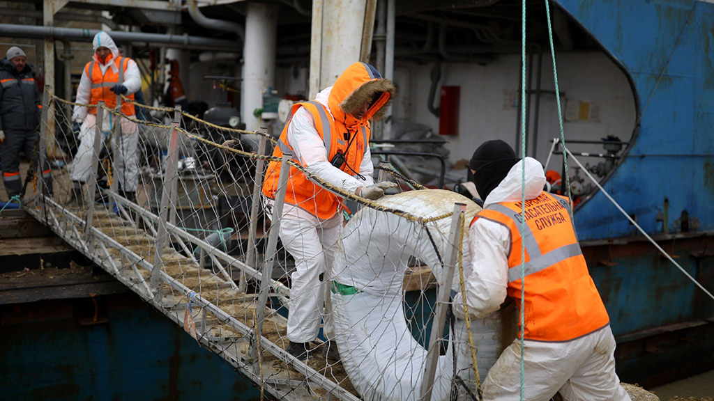 Мероприятия, проведенные СП в 2023 г., показали, что из 105 судов, находящихся на балансе Морспасслужбы, для выполнения госзадания привлекается только 44 единицы