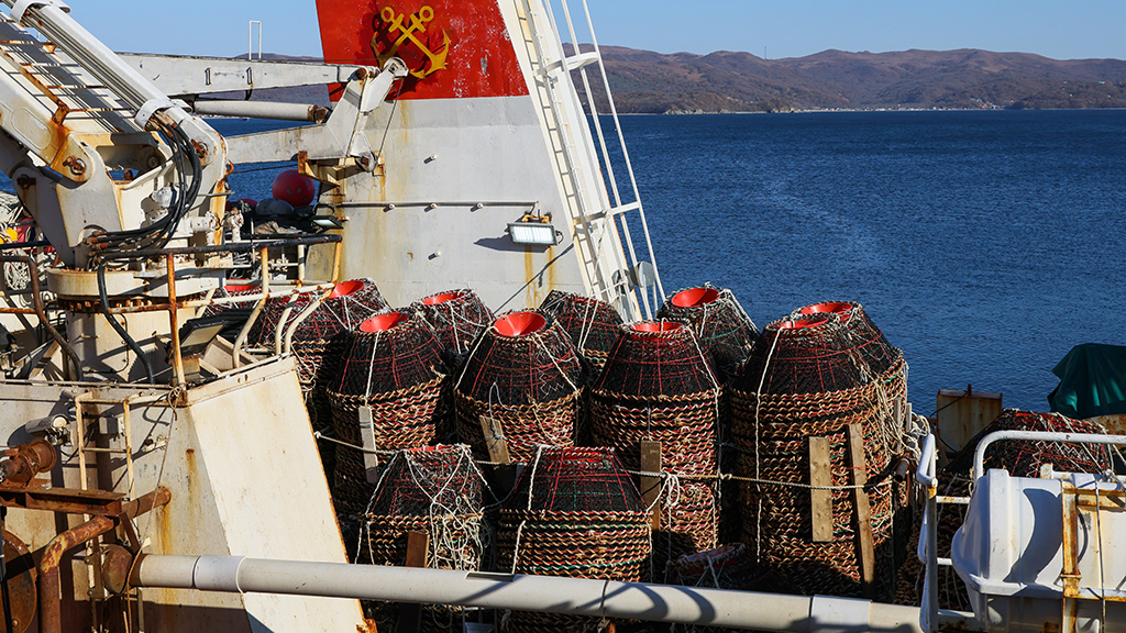 Юрий Смитюк / ТАСС