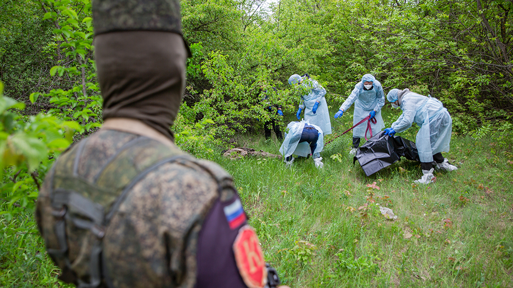 https://cdn5.vedomosti.ru/image/2025/4e/xpmnc/fullscreen-17ov.png