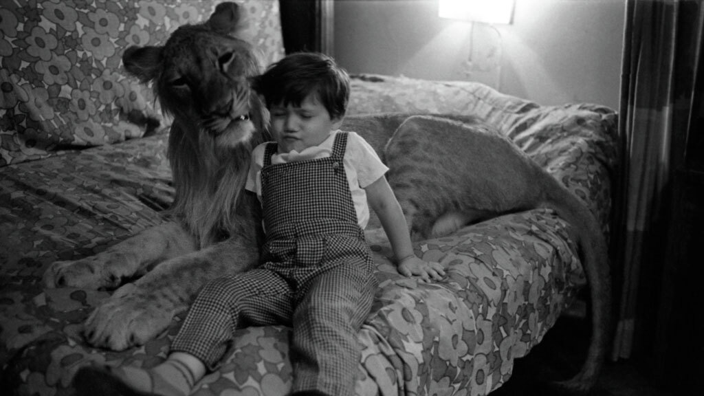 За обеденным столом у льва Кинга было собственное место.