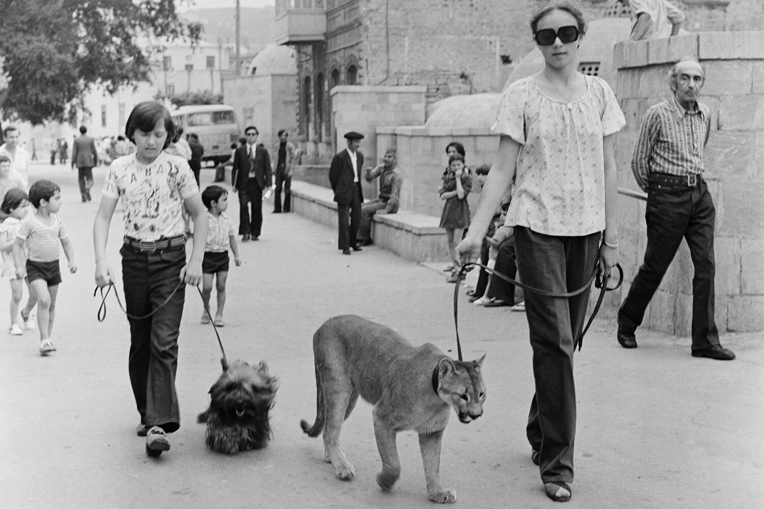 За обеденным столом у льва Кинга было собственное место.