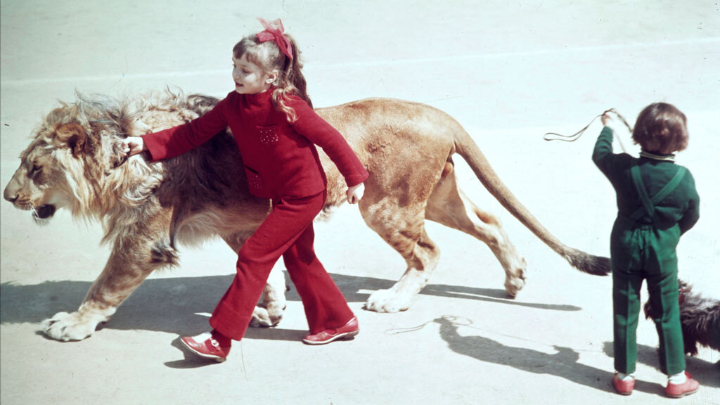 За обеденным столом у льва Кинга было собственное место.
