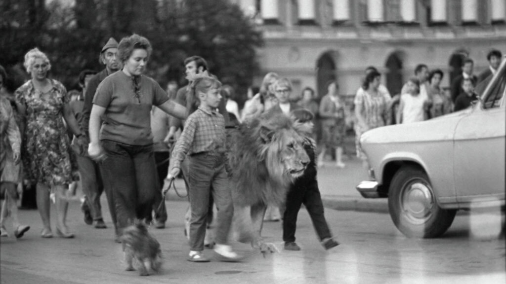 За обеденным столом у льва Кинга было собственное место.