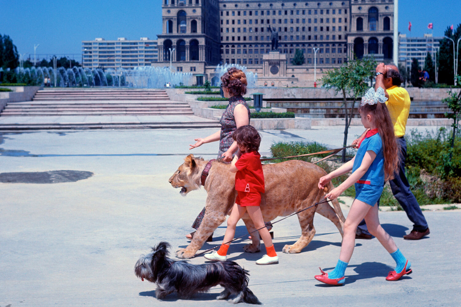За обеденным столом у льва Кинга было собственное место.