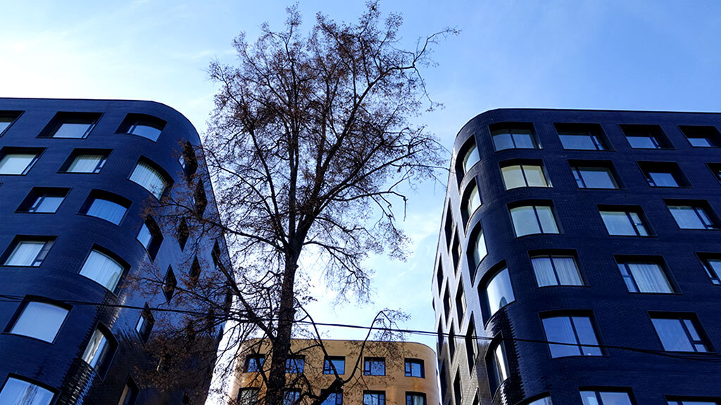 Максим Стулов / Ведомости