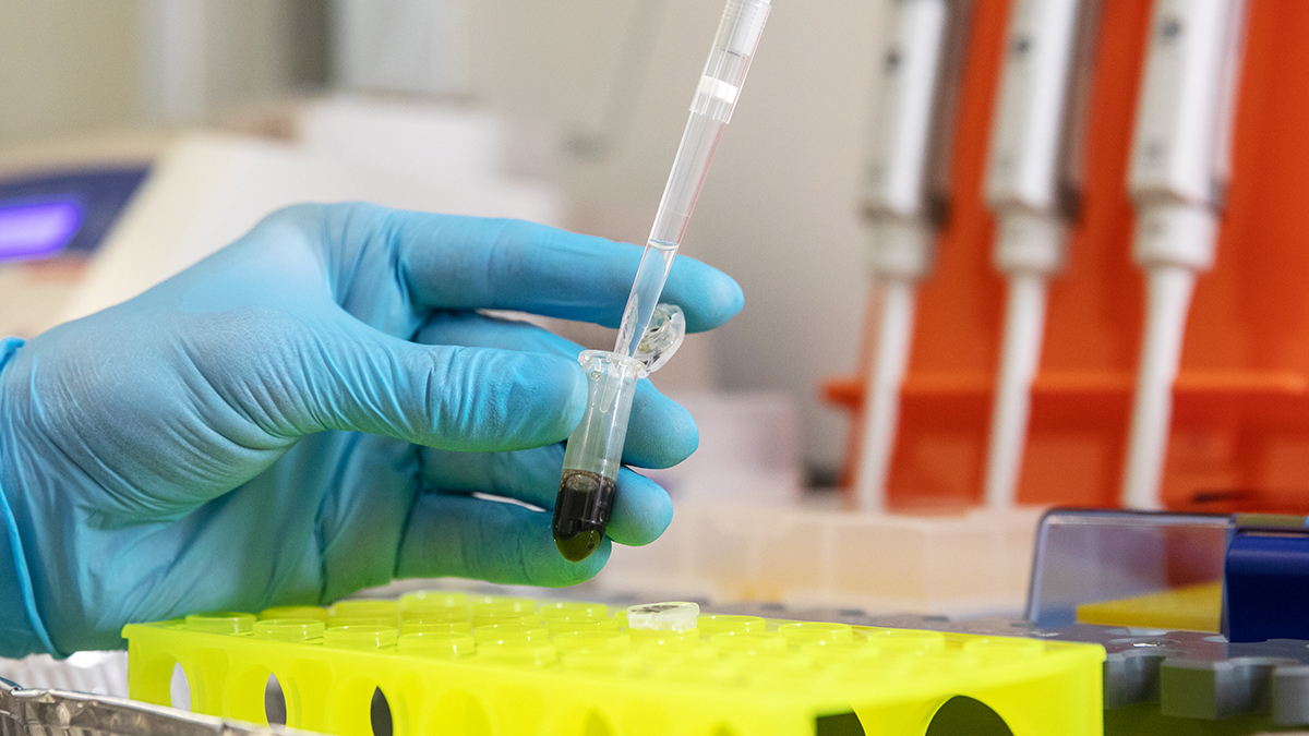 Евгений Разумный / Ведомости