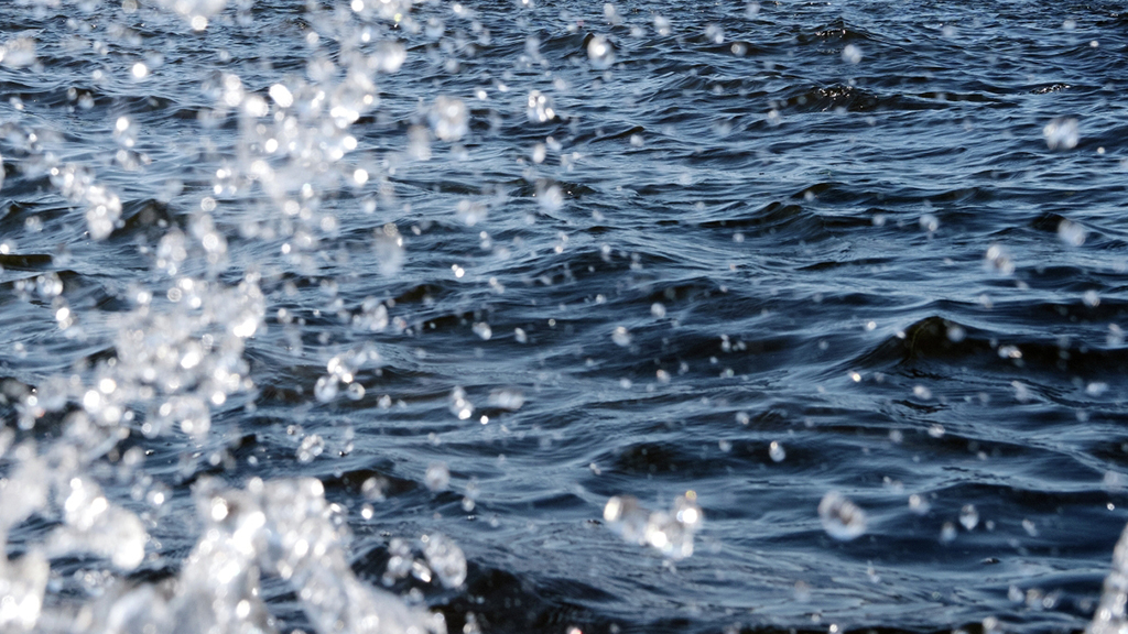 Алексей Даничев / РИА Новости