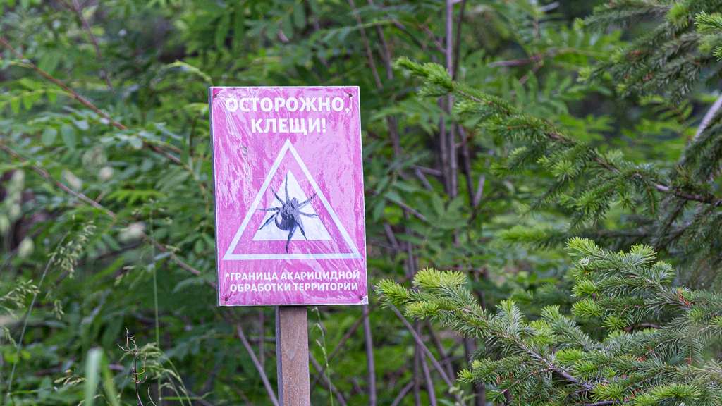 Евгений Разумный / Ведомости