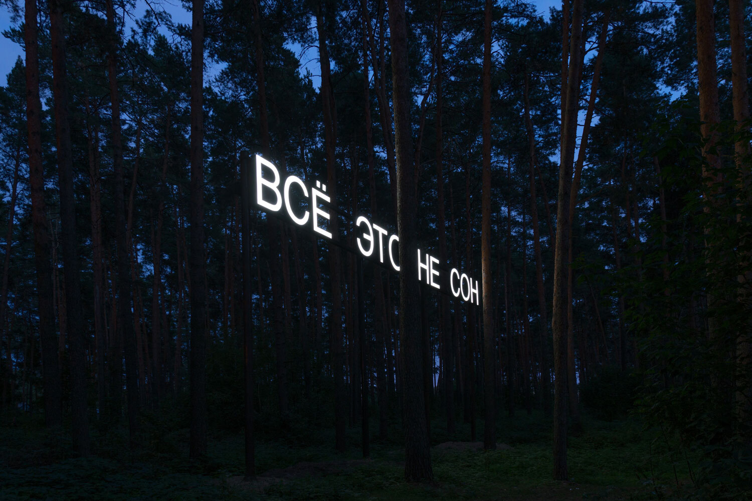 Инсталляция Тимофея Ради «Все это не сон», 2018 год