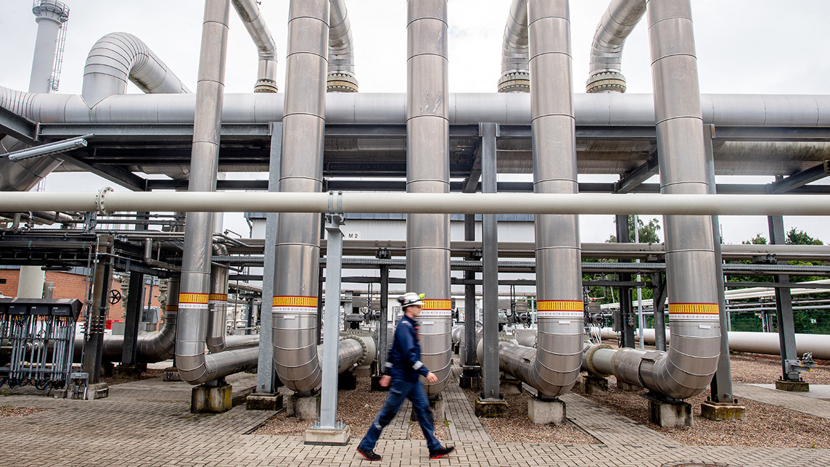 HAUKE-CHRISTIAN DITTRICH / dpa Picture-Alliance via AFP