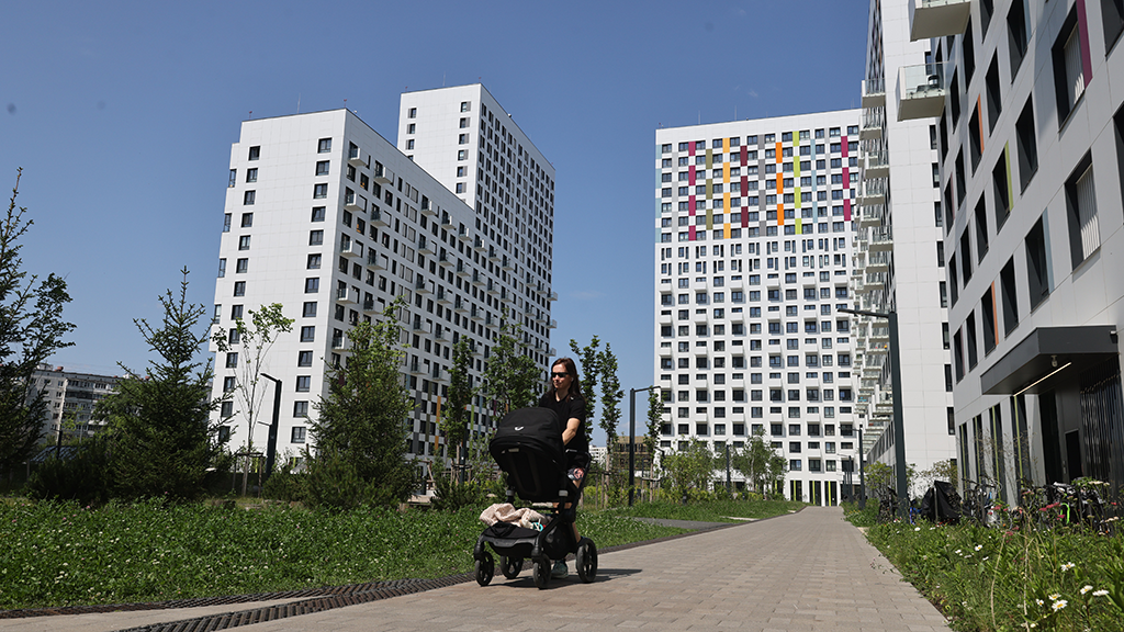 Алексей Орлов / Ведомости