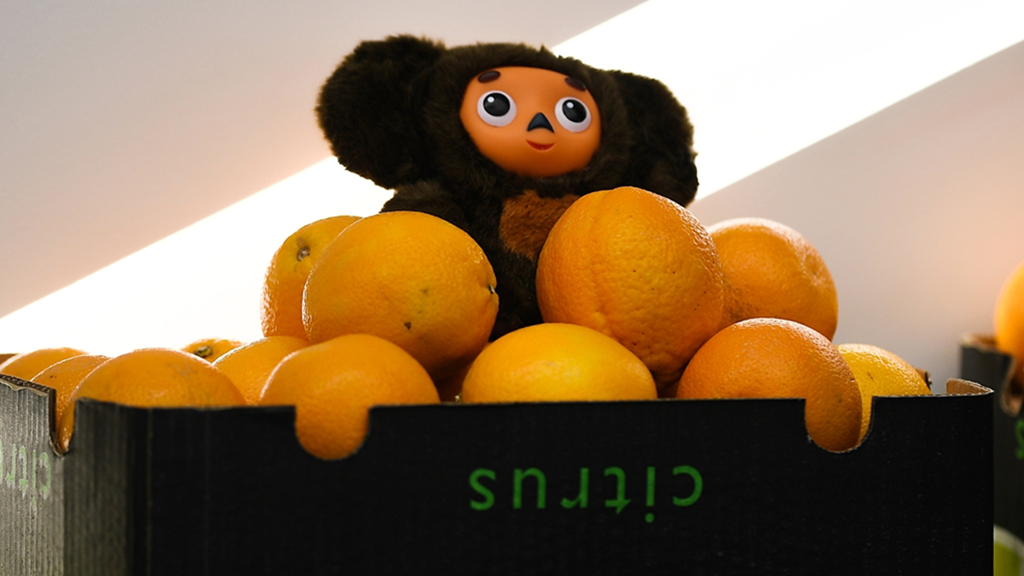 Владимир Астапкович / РИА Новости