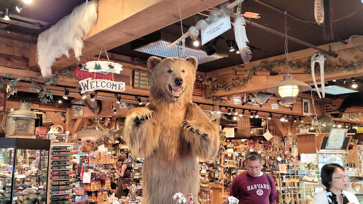 Иван Пильщиков / ТАСС