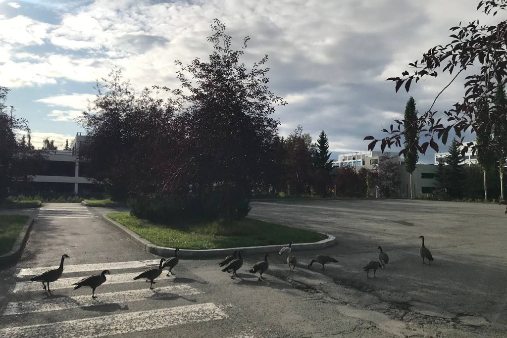 Елена Мухаметшина / Ведомости