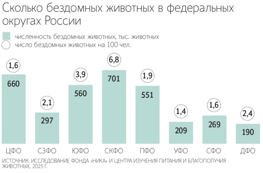 Обязательная регистрация и чипирование домашних собак вводятся с мая 2026&nbsp;г.