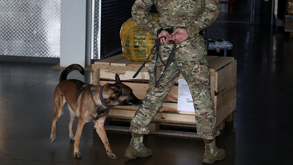 Сами кинологи были бы рады использовать натуральные наркотики в тренировках, но не делают этого, опасаясь уголовной ответственности