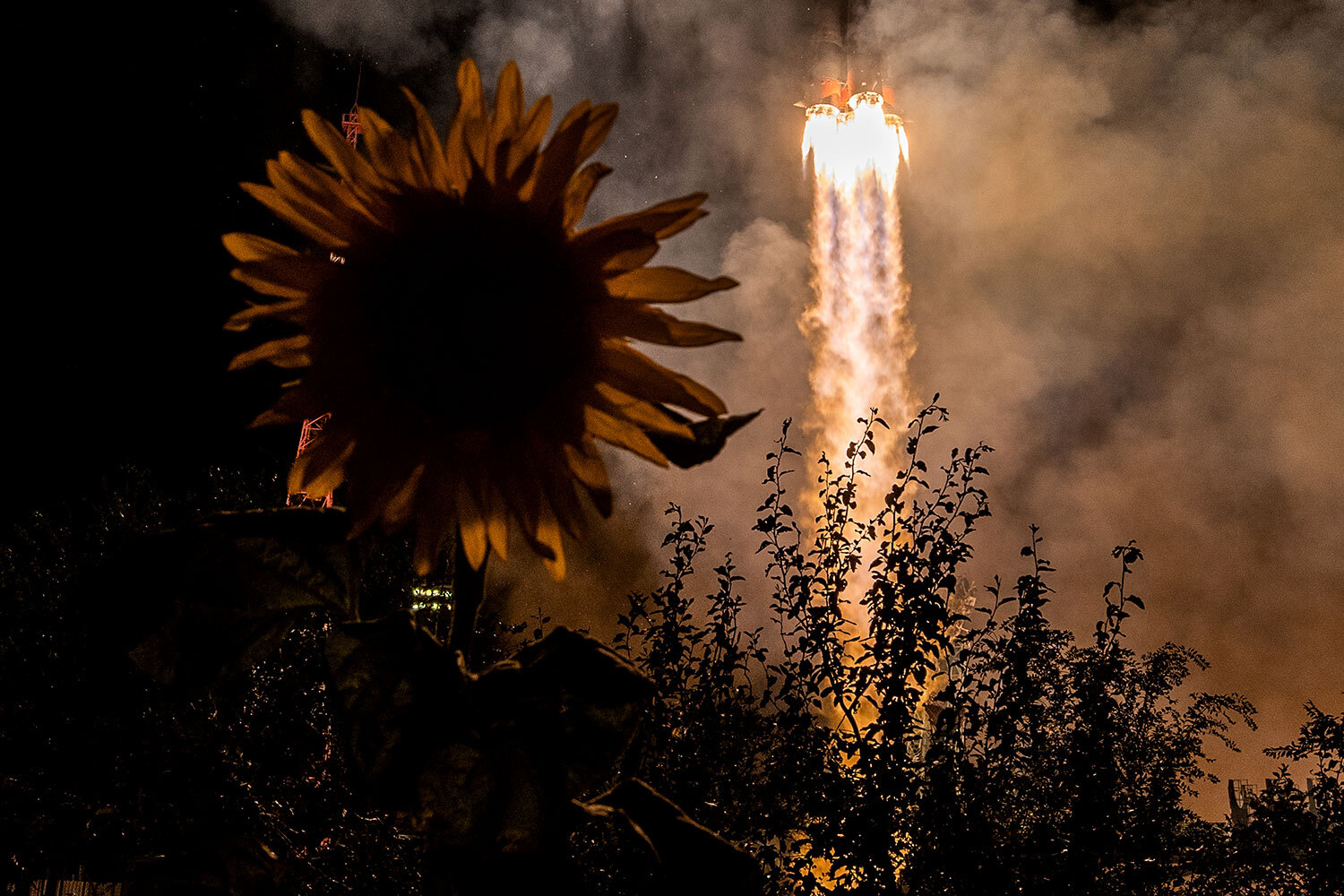 20 августа 2025 г. Запуск ракеты-носителя «Союз-2.1б» с биоспутником «Бион-М» №&nbsp;2 с космодрома Байконур.