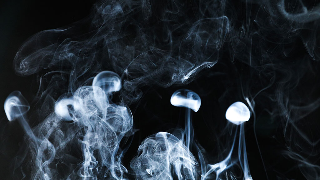  Правительство поддержало инициативу хабаровских депутатов о запрете продажи сигарет на остановках