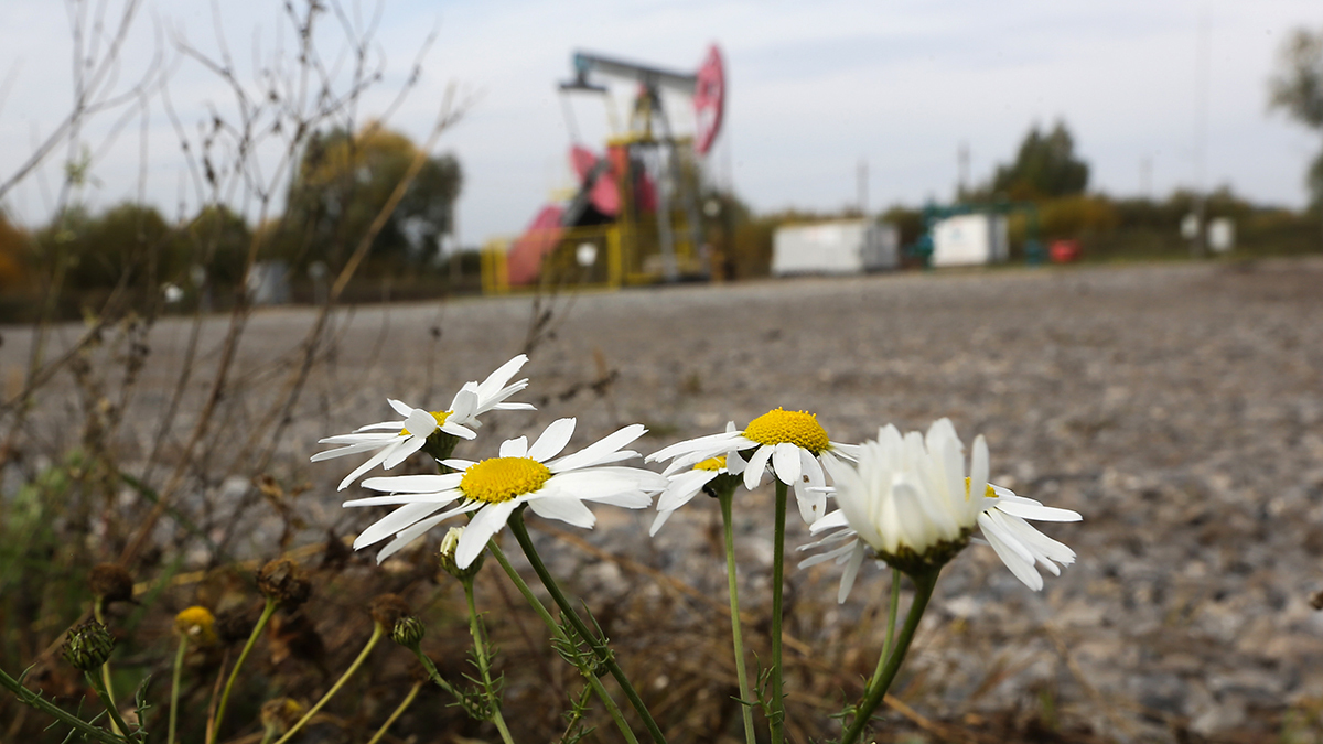 Максим Стулов / Ведомости