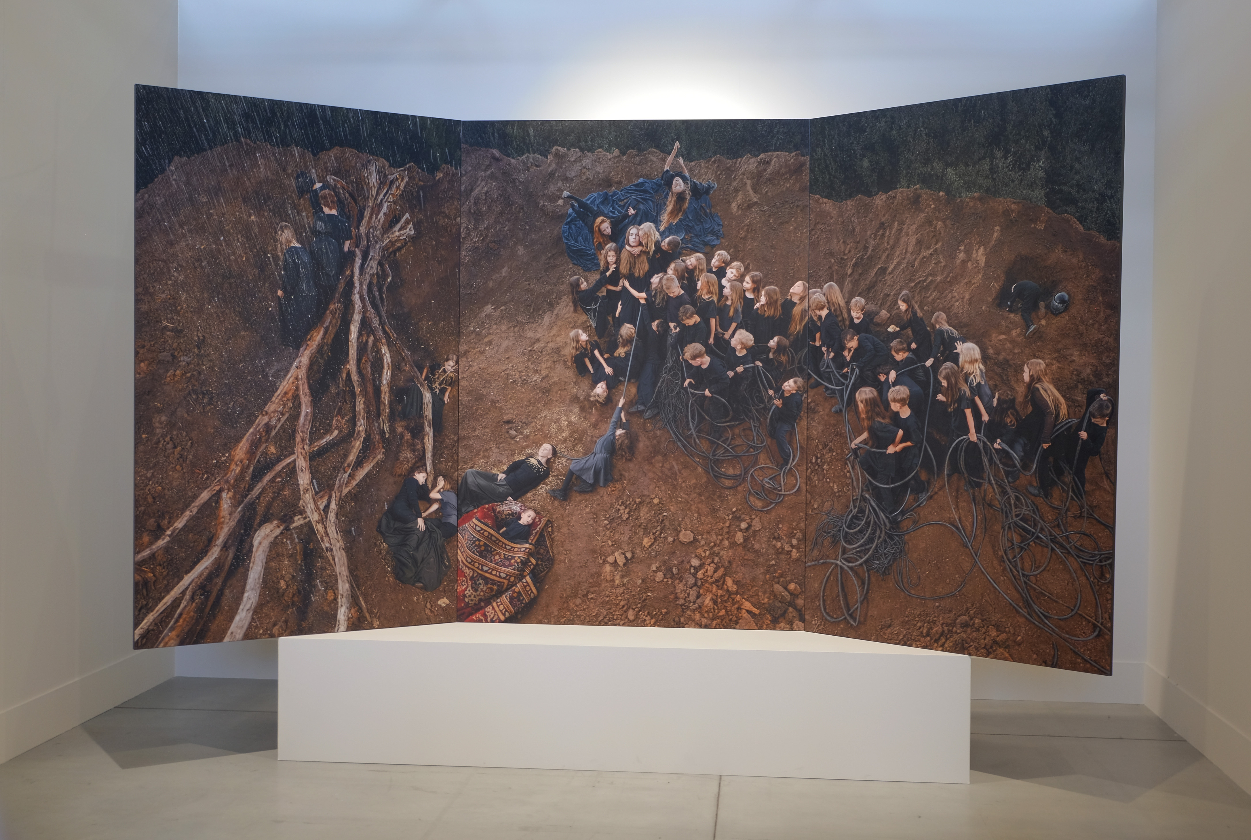 Триптих «Семена» нижегородской арт-группы «Провмыза», признанной «Художником года»