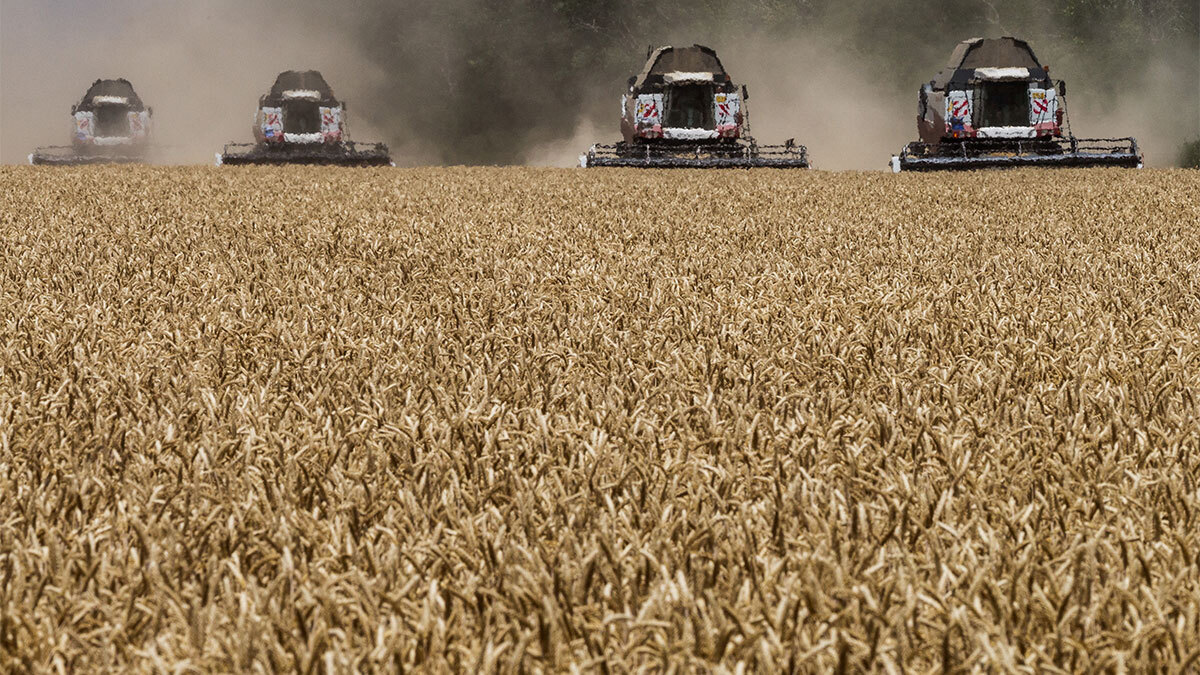Евгений Разумный / Ведомости