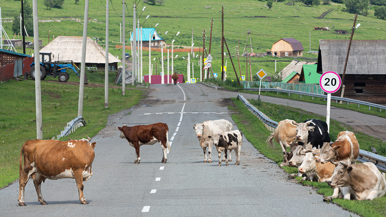 Евгений Разумный / Ведомости