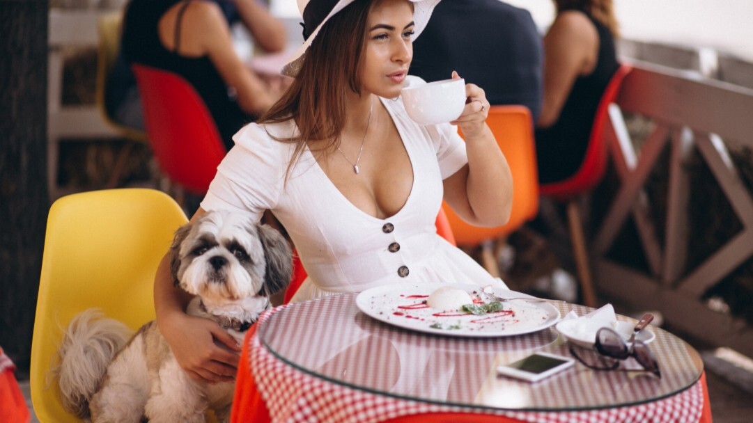 Антон Нечипоренко, основатель креативного бюро Four Points, амбассадор премии WHERETOEAT, преподаватель SVCH School, специалист по операционному управлению ресторанами