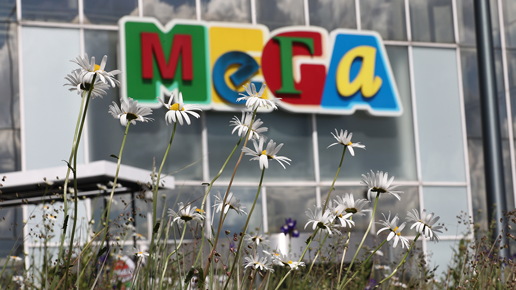 Евгений Разумный / Ведомости