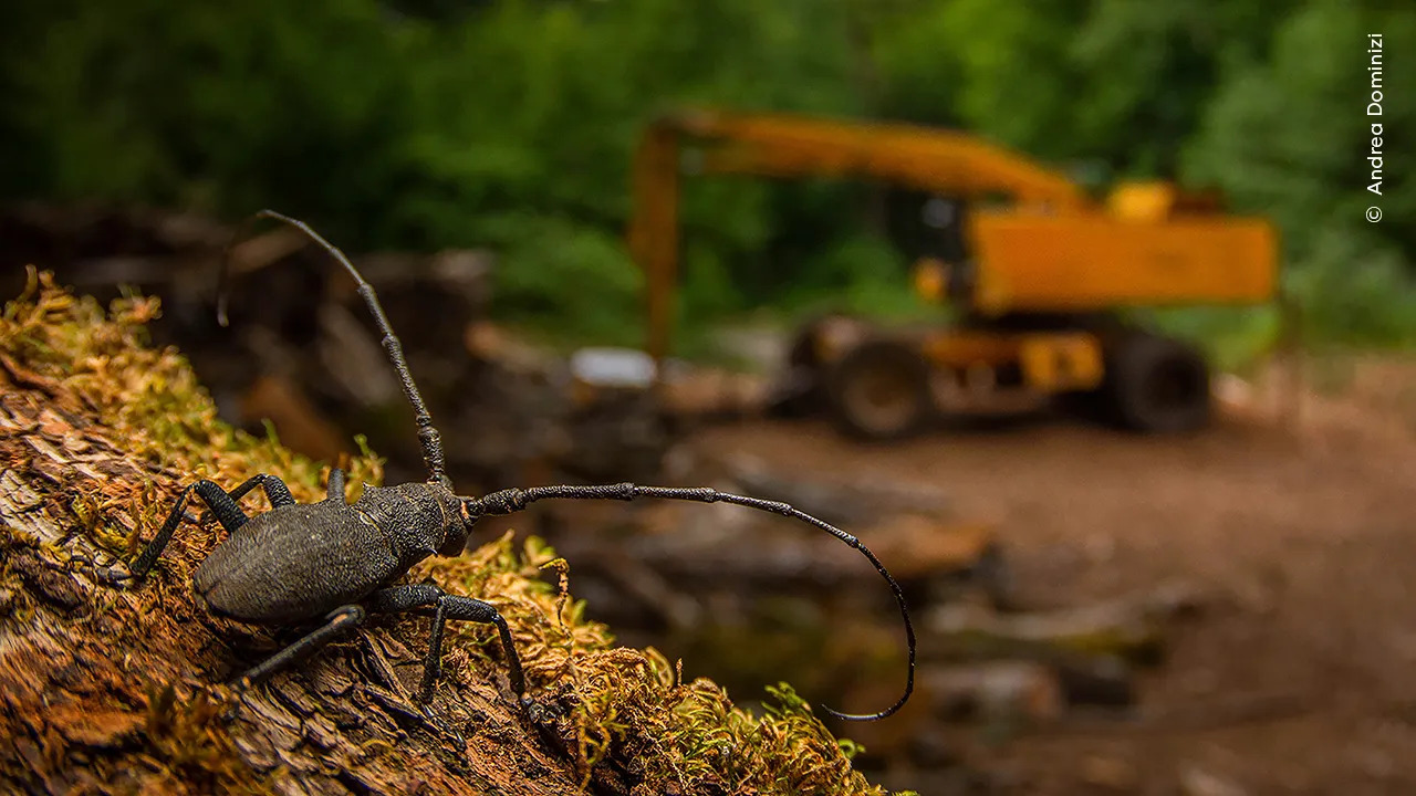 Ең жақсы аналар порносын көріңіз