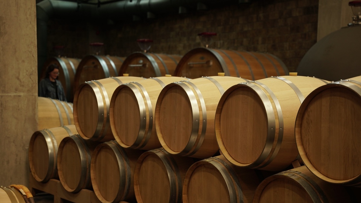 Фото: пресс-служба Simple Group, «Скалистый берег»