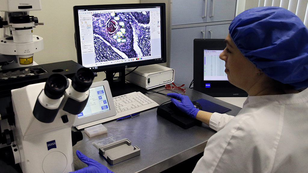 Валерий Матыцин / ТАСС