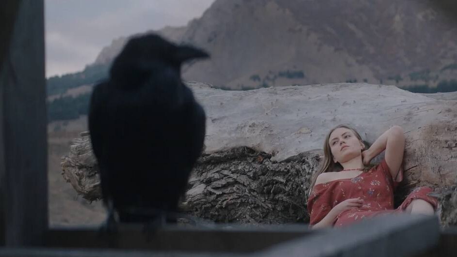 Кадр из к/ф «Ветер»