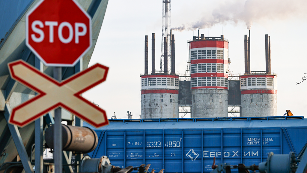 Эрик Романенко / ТАСС