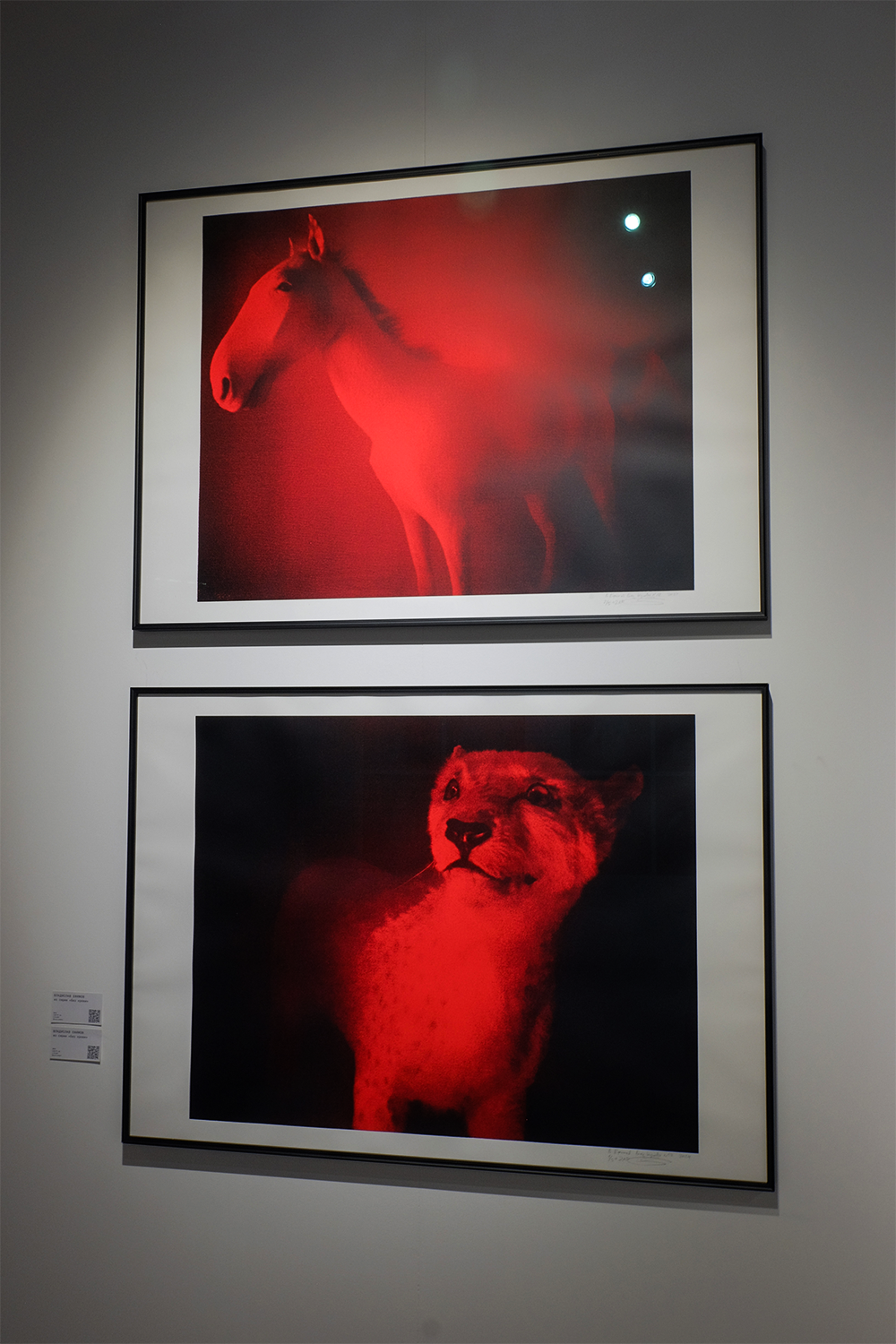 Владислав Ефимов