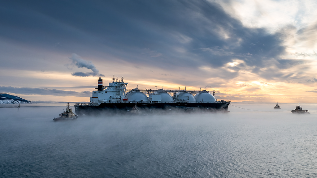 Сергей Красноухов / ТАСС