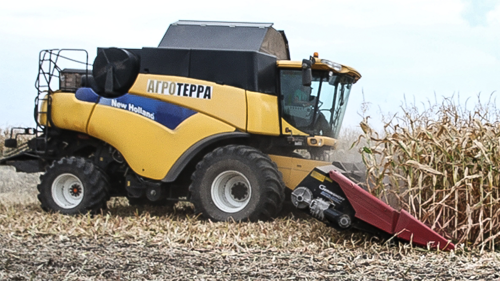 Екатерина Штукина / РИА Новости