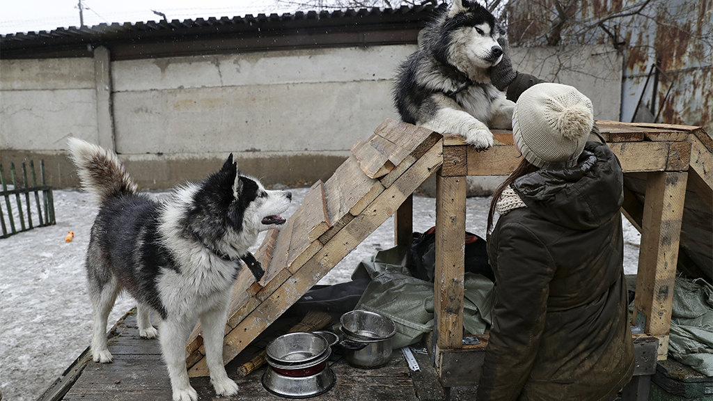 Кирилл Кухмарь / ТАСС