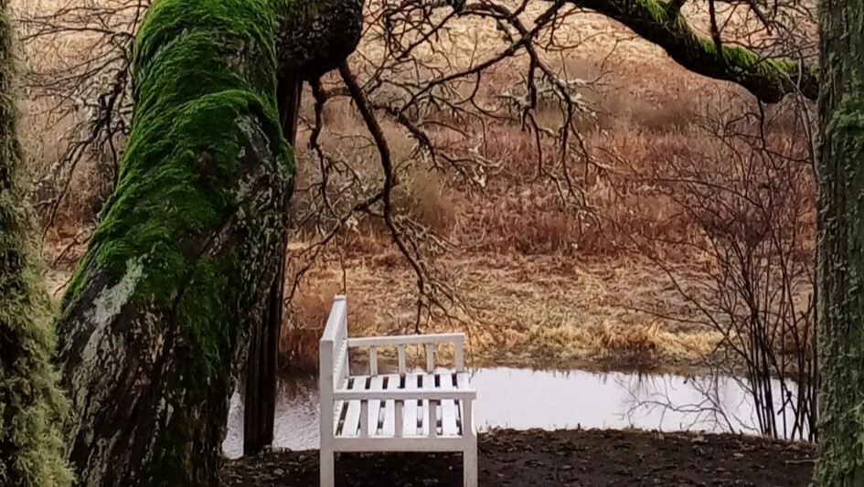 Тригорское, скамейка Евгения Онегина