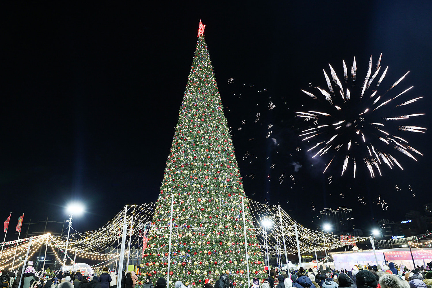 Новогодний салют на фоне ели, Владивосток.